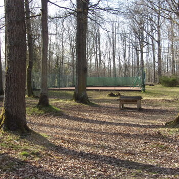 entrée de la forêt